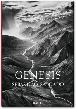 genesis-583695-250-400