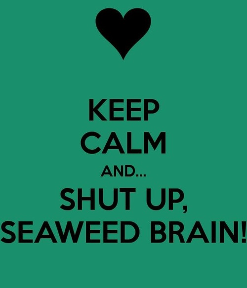 Shut up, seewead brain !