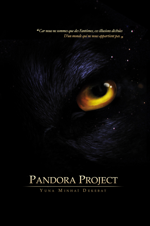 Pandora project.jpeg