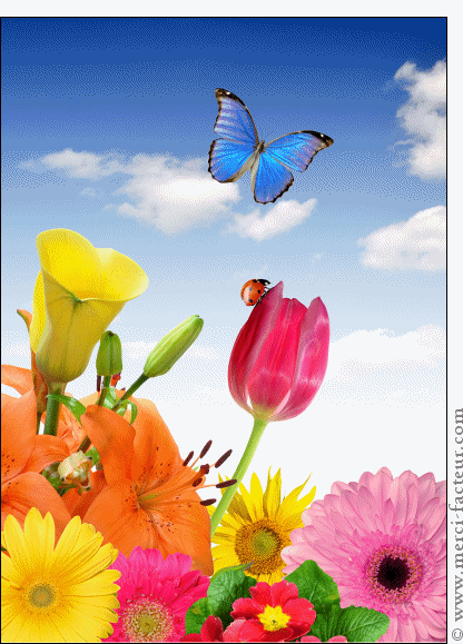 3081-Papillon bleu dans les fleurs_maxi.gif