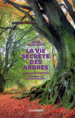 la-vie-secrete-des-arbres-1022657-264-432.jpg